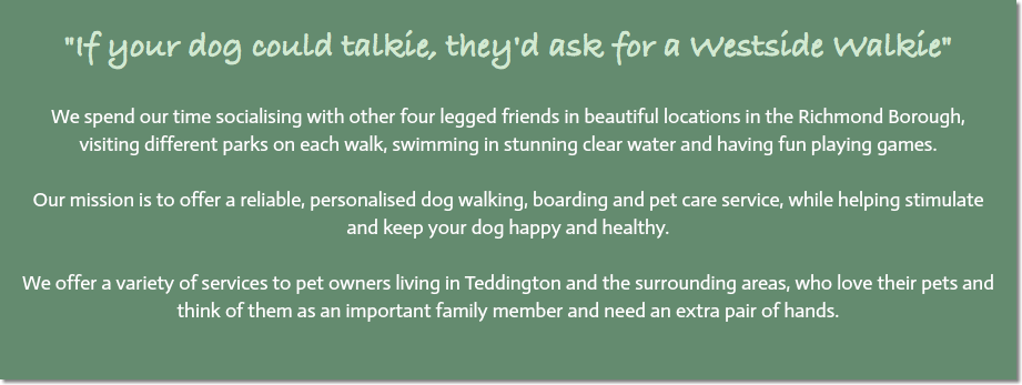 "If your dog could talkie, they'd ask for a Westside Walkie" We spend our time socialising with other four legged friends in beautiful locations in the Richmond Borough, visiting different parks on each walk, swimming in stunning clear water and having fun playing games. Our mission is to offer a reliable, personalised dog walking, boarding and pet care service, while helping stimulate and keep your dog happy and healthy. We offer a variety of services to pet owners living in Teddington and the surrounding areas, who love their pets and think of them as an important family member and need an extra pair of hands. 