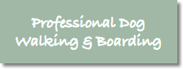 Professional Dog Walking & Boarding 